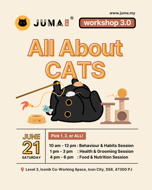 Workshop 3.0 (21/06/2025)